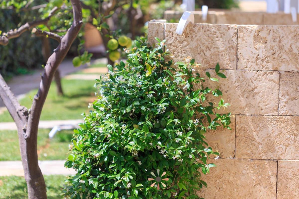 Agriturismo Tenuta Margherita Torre Lapillo Eksteriør bilde